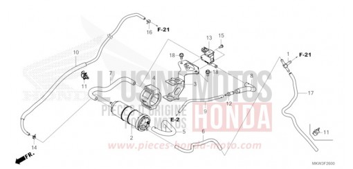 CUVETTE NC750XAM de 2021